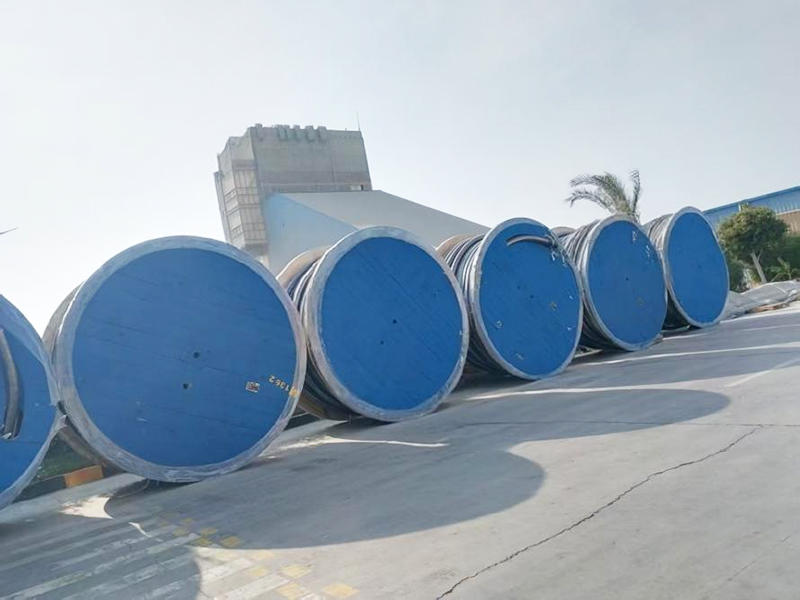 Visit Middle East Cable Customers and have the meeting for Strategic Cooperation 2025